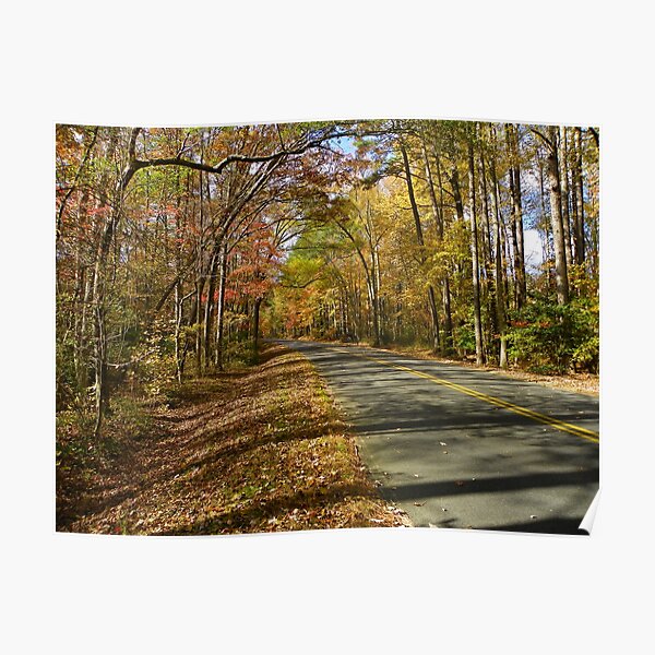 The road to Autumn Poster