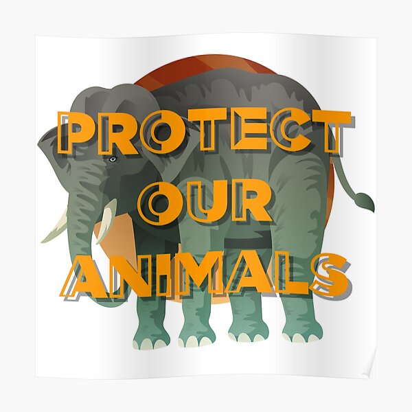 Protect Wildlife Poster Design Psd Free Download Pikb - vrogue.co