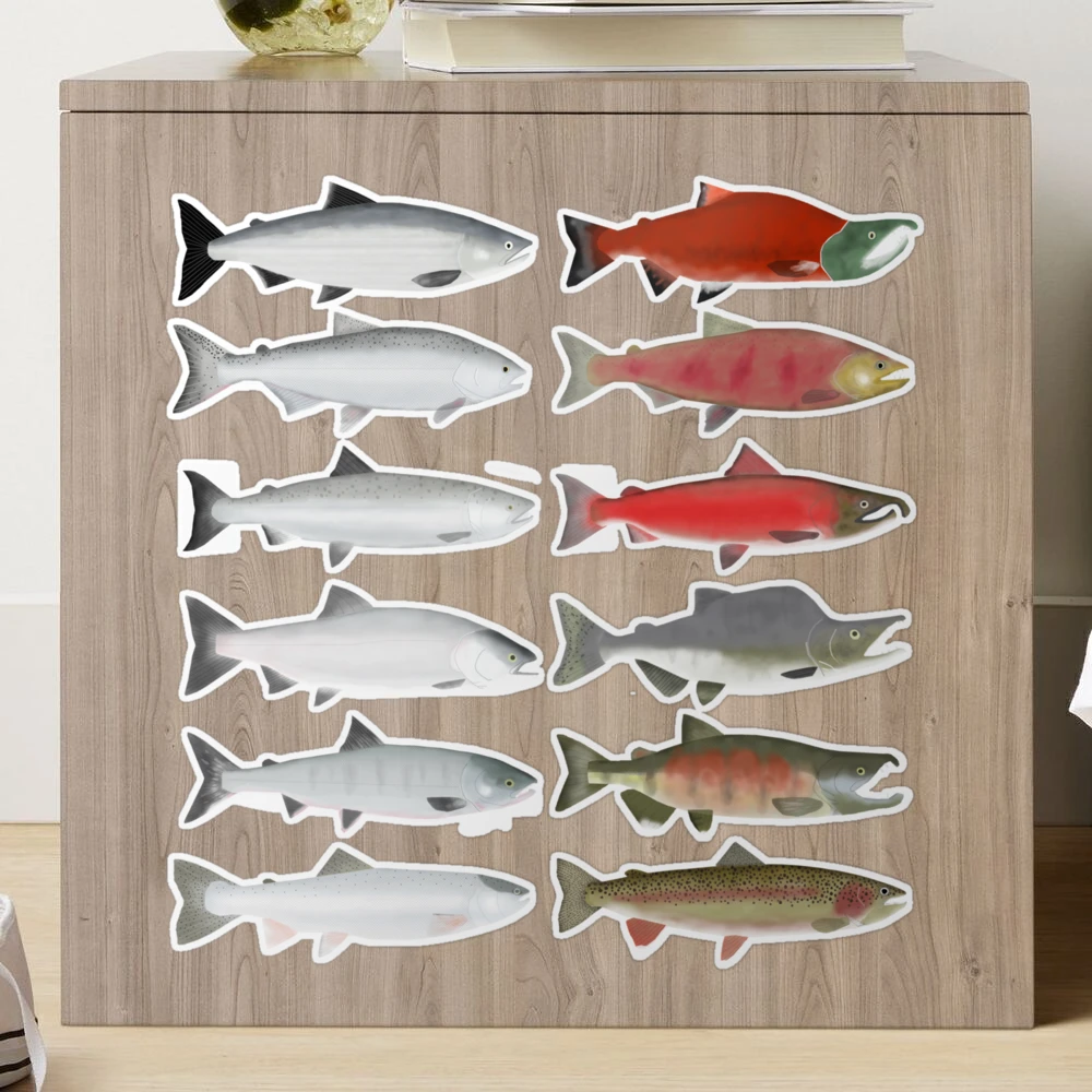 Pacific Salmon Group - Ocean and Spawning Phase Sticker for Sale