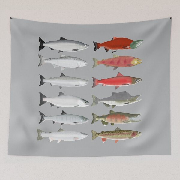 Item preview, Pacific Salmon Group - Ocean and Spawning Phase designed and sold by fishfolkart.