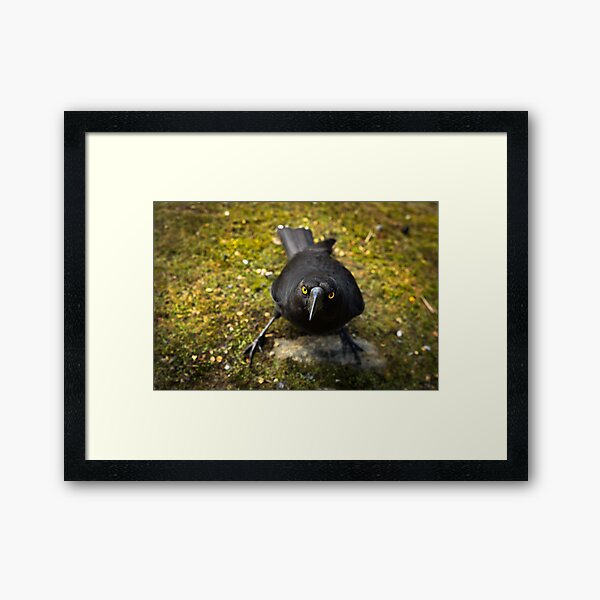 Give me that muffin! Framed Art Print
