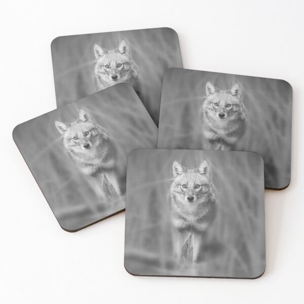 Item preview,  jackal designed and sold by LaGalleria-BNS by Moses Benson Gallery.