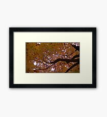 Fall 2013 19 Framed Print