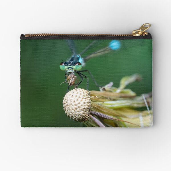 Vista previa del artículo con la obra «Pacific Forktail Damselfly con presa», diseñado y vendido por SorryToBugYou.
