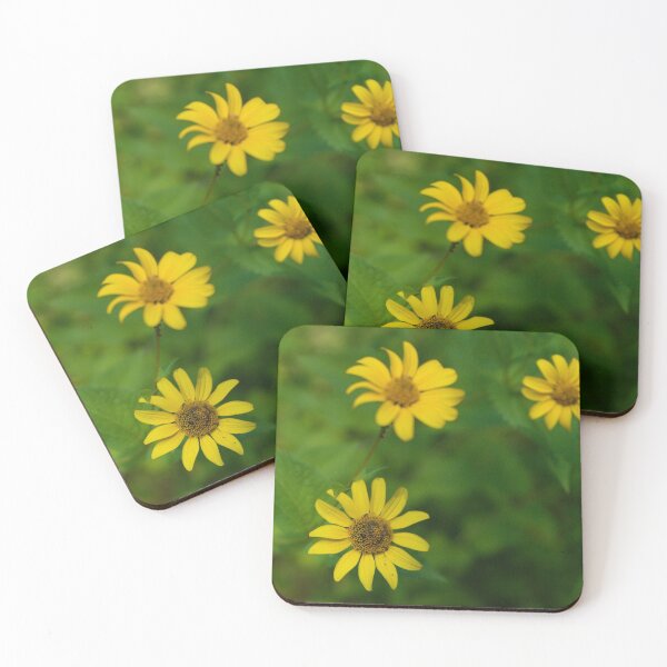 Item preview, daisy chain designed and sold by Bacio.