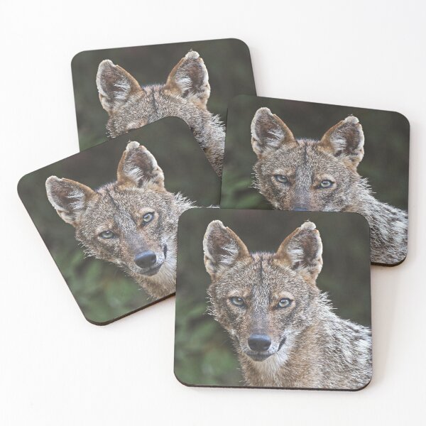 Item preview, A sharp look in the eyes designed and sold by LaGalleria-BNS by Moses Benson Gallery.