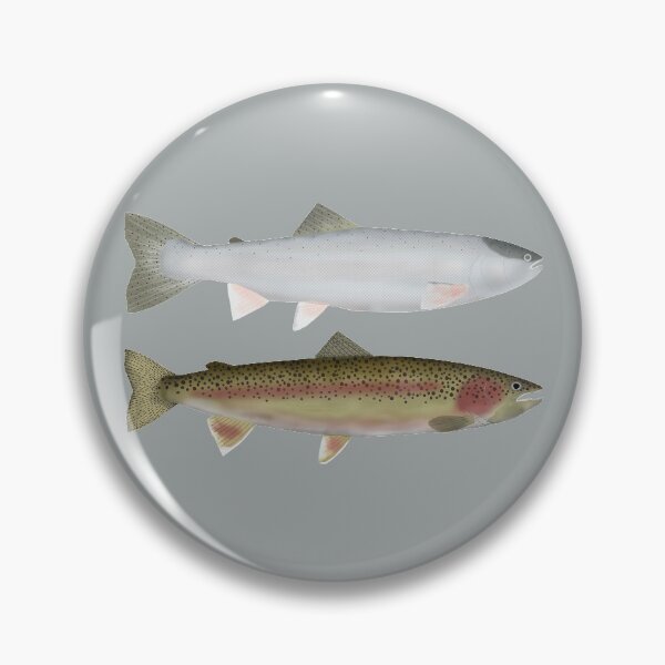 Item preview, Steelhead - Ocean and Spawn Phases designed and sold by fishfolkart.