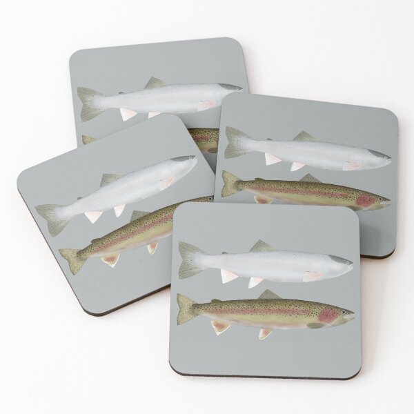 Item preview, Steelhead - Ocean and Spawn Phases designed and sold by fishfolkart.