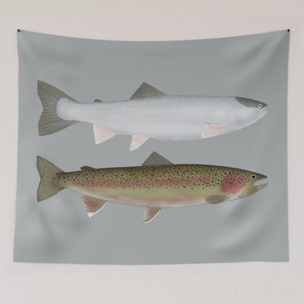 Item preview, Steelhead - Ocean and Spawn Phases designed and sold by fishfolkart.
