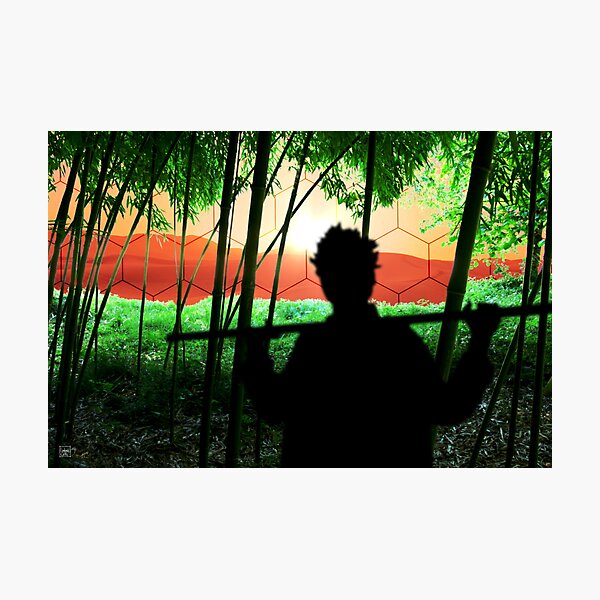 Bamboo Culture on Mars Photographic Print
