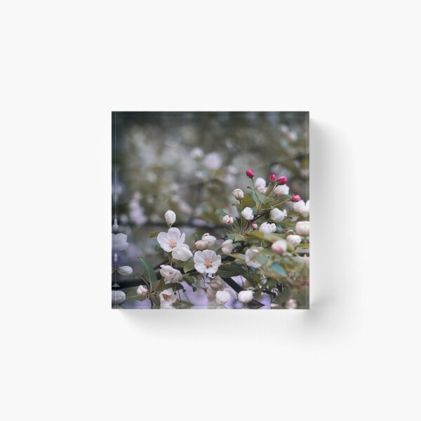 Item preview, Crab apple tree vol.7 designed and sold by Natalie Stark.