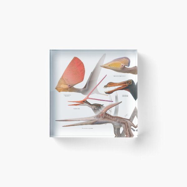 Item preview, Pterosaurs designed and sold by paleoarteymas.