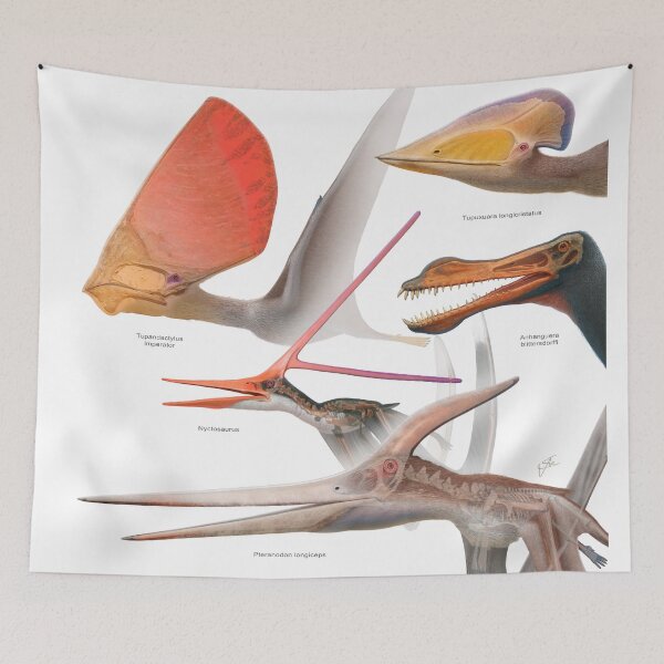 Item preview, Pterosaurs designed and sold by paleoarteymas.