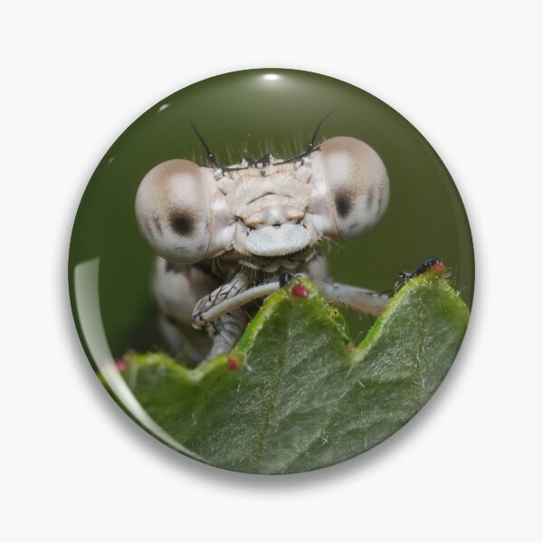 Item preview, Heterochrome Female Common Blue Damselfly designed and sold by SorryToBugYou.