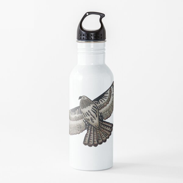 Red Tailed Hawk in Flight Water Bottle