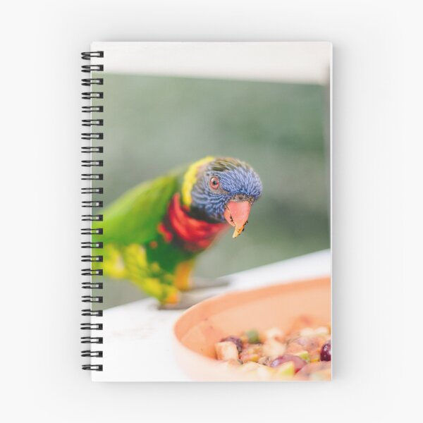 Item preview, Rainbow Bird  designed and sold by Corrie Mick.