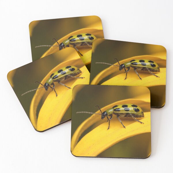 Item preview, Cucumber Beetle on a Black Eye Susan designed and sold by SorryToBugYou.