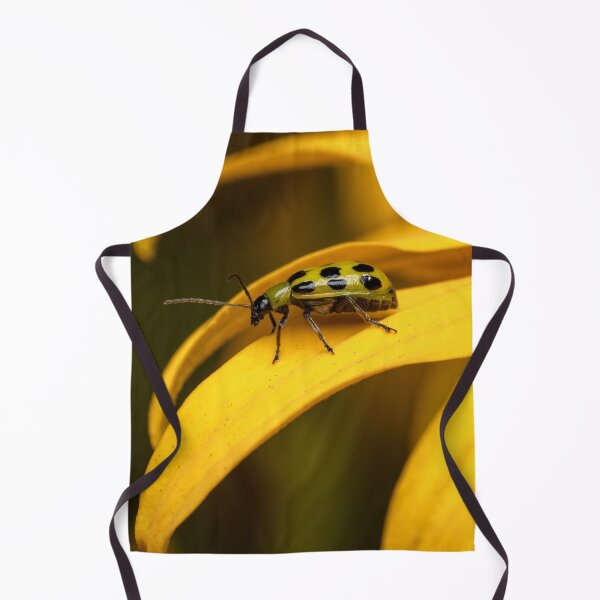 Item preview, Cucumber Beetle on a Black Eye Susan designed and sold by SorryToBugYou.