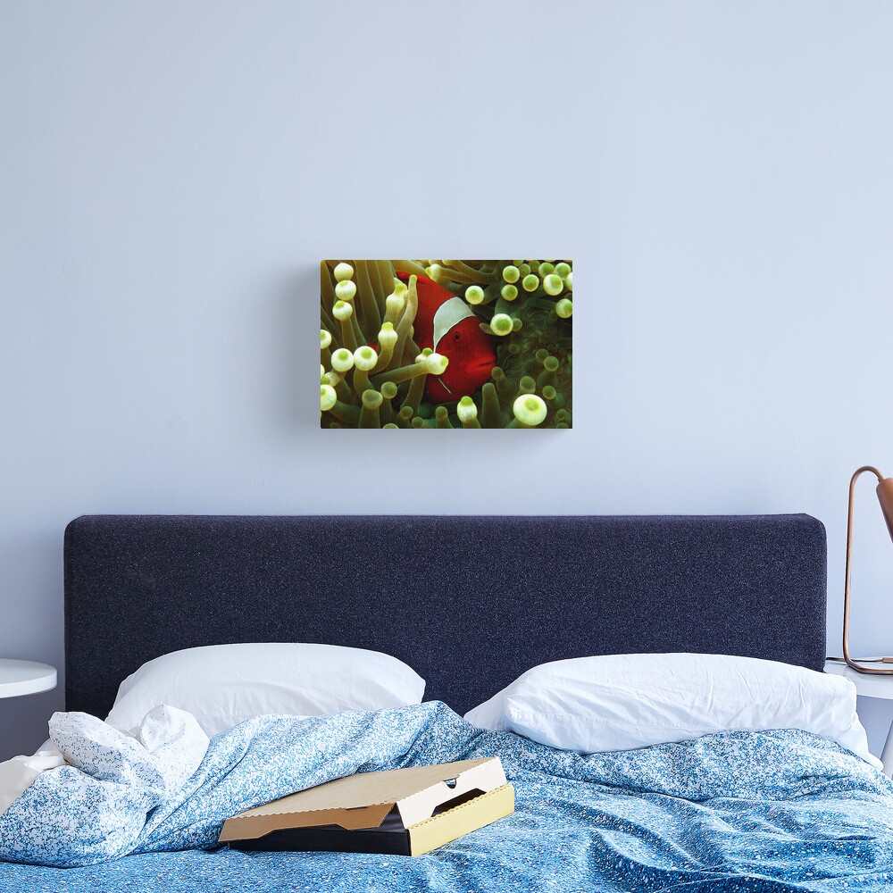 Premnas in Paradise Canvas Print