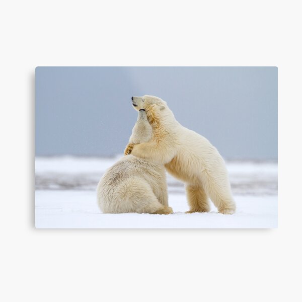 Tender Moments Metal Print