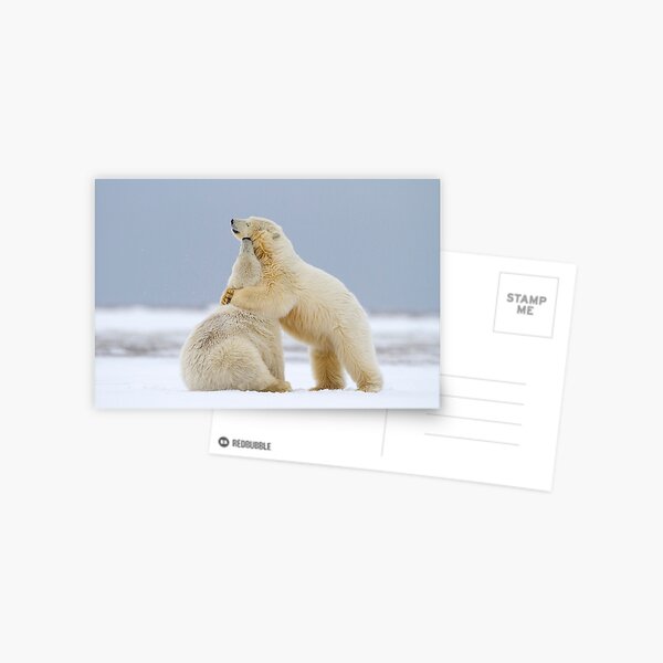 Tender Moments Postcard