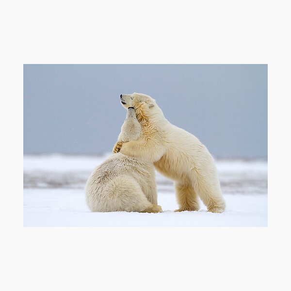Tender Moments Photographic Print