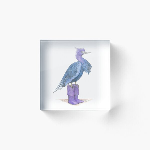 Little blue heron in cowgirl boots Acrylic Block