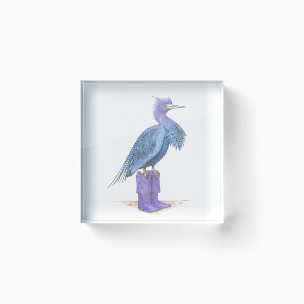 Little blue heron in cowgirl boots Acrylic Block