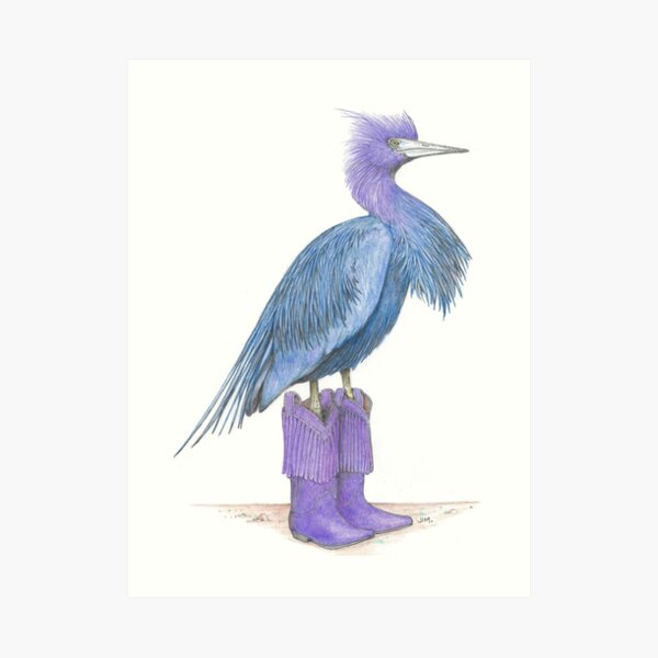 Little blue heron in cowgirl boots Art Print