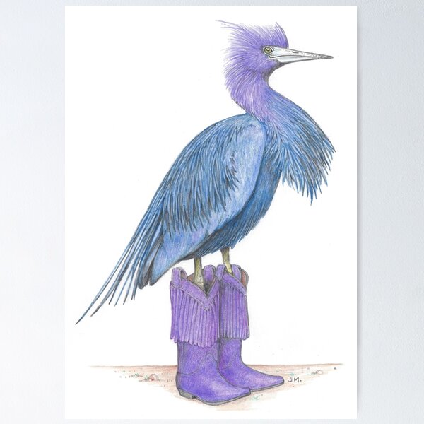 Item preview, Little blue heron in cowgirl boots designed and sold by JimsBirds.