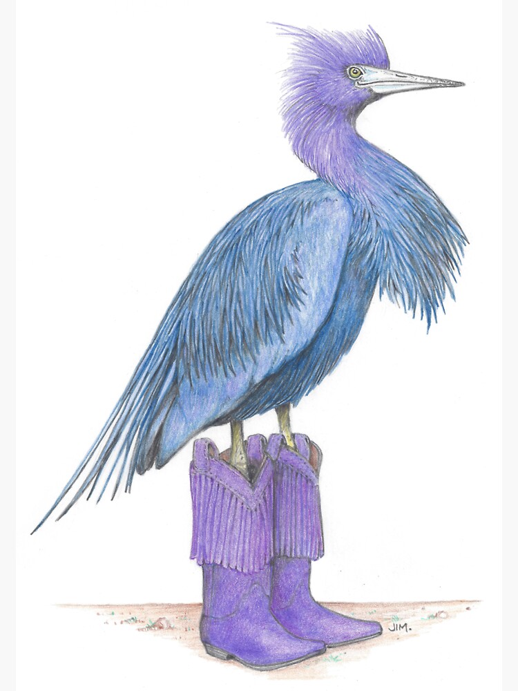 Thumbnail 3 of 3, Sticker, Little blue heron in cowgirl boots designed and sold by JimsBirds.