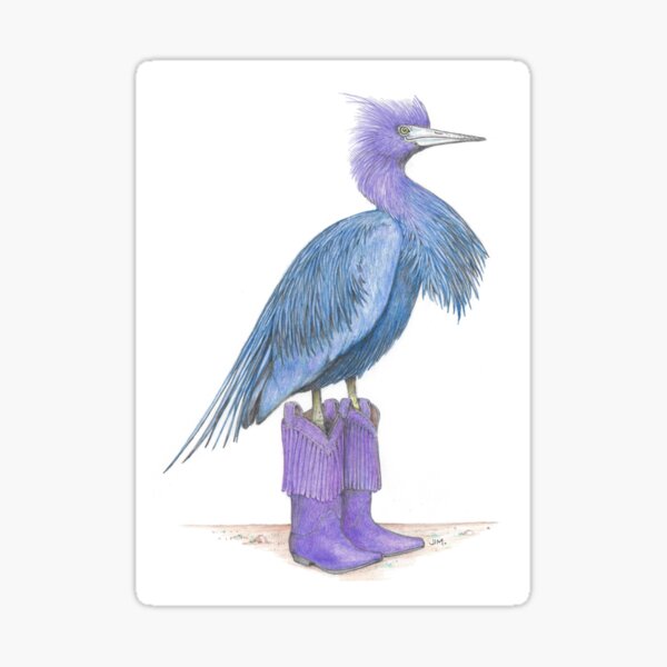 Little blue heron in cowgirl boots Sticker