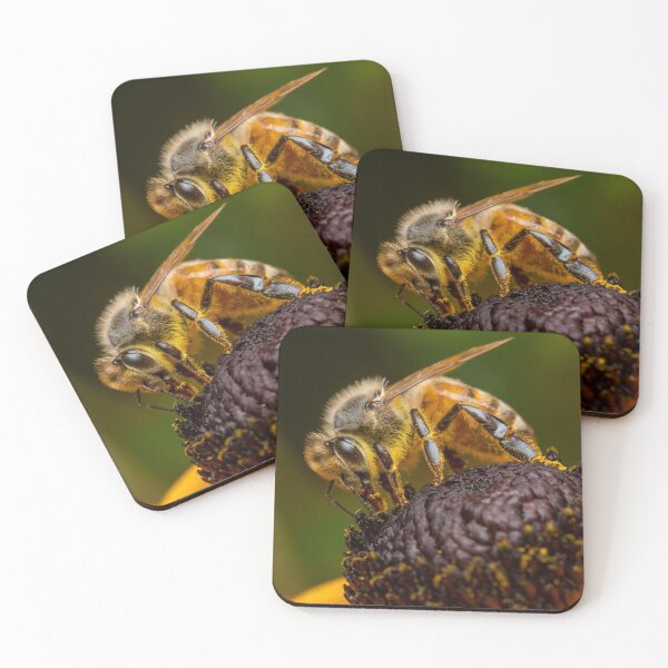 Item preview, Honey Bee on a Black Eye Susan designed and sold by SorryToBugYou.
