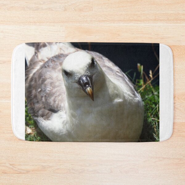 Item preview, A fulmar at  Cantick Head Lighthouse on the beautiful Orkney island of Hoy in Scotland  designed and sold by Alan Mackinnon.