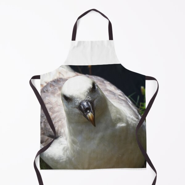 Item preview, A fulmar at Cantick Head Lighthouse on the beautiful Orkney island of Hoy in Scotland designed and sold by Alan Mackinnon.