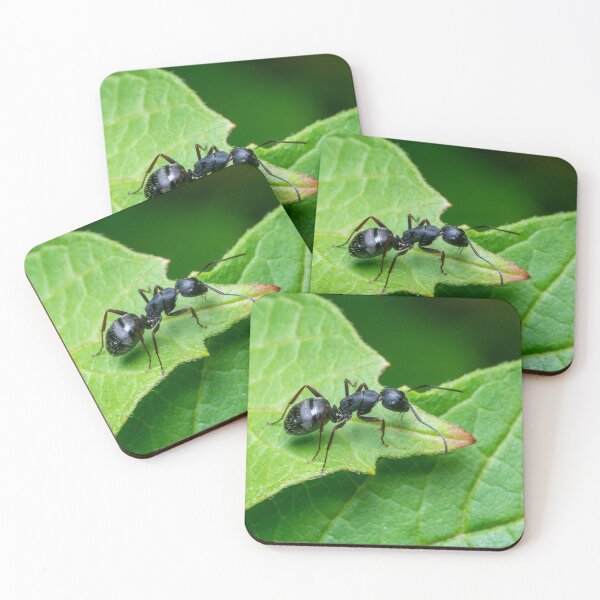 Item preview, Carpenter Ant designed and sold by SorryToBugYou.