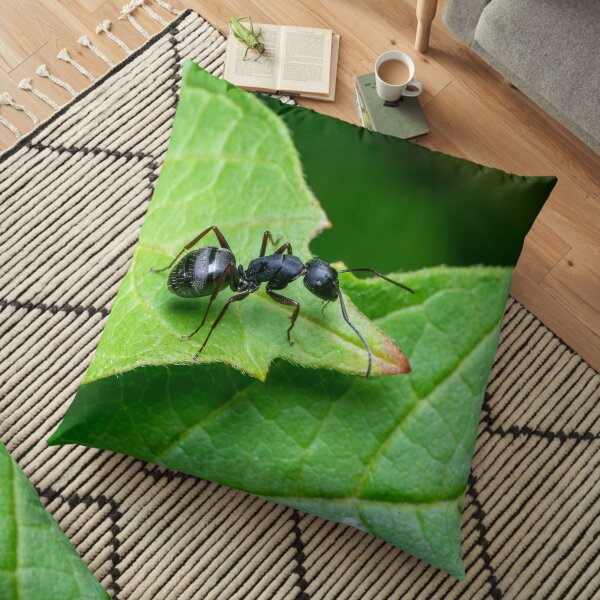 Carpenter Ant Floor Pillow