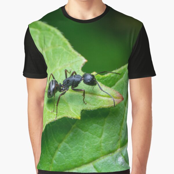 Carpenter Ant Graphic T-Shirt