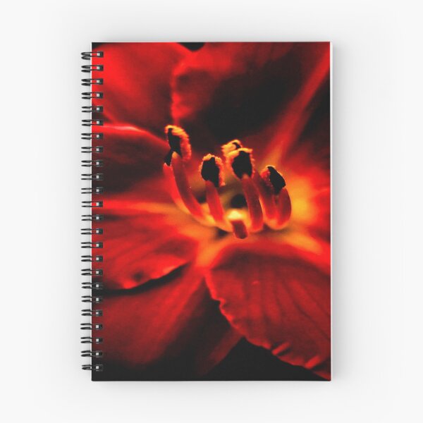 Item preview, Blood Red Lily designed and sold by Picturethat1.