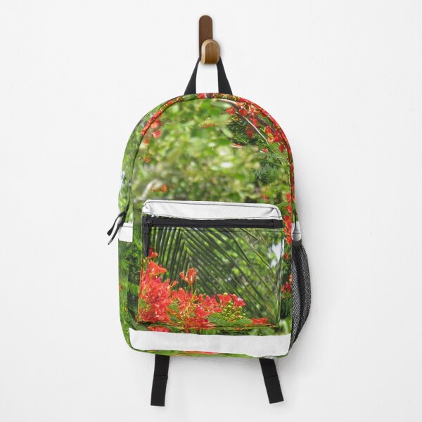 Item preview, Royal Poinciana Tree Flowers designed and sold by abacoian.