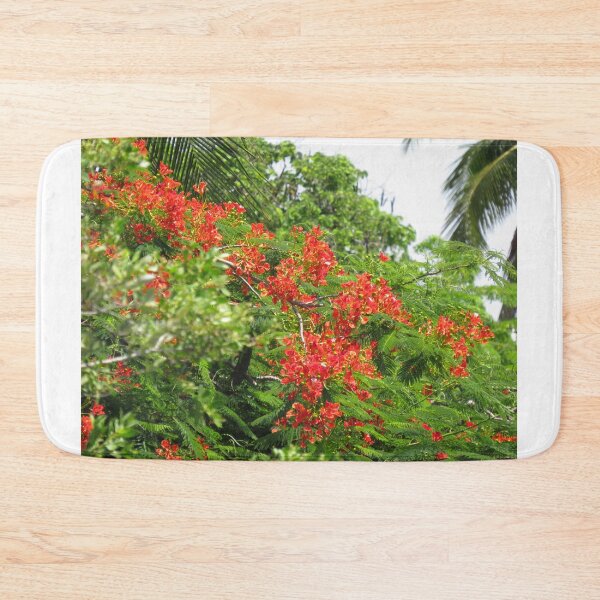 Item preview, Royal Poinciana Tree Flowers designed and sold by abacoian.
