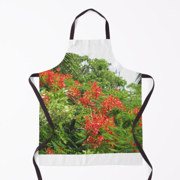 Item preview, Royal Poinciana Tree Flowers designed and sold by abacoian.