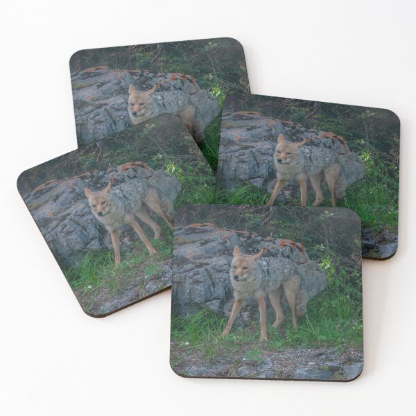 Item preview, Coyote 2 designed and sold by indigorayz.