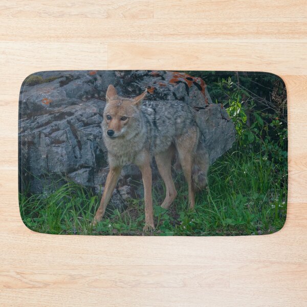 Item preview, Coyote 2 designed and sold by indigorayz.