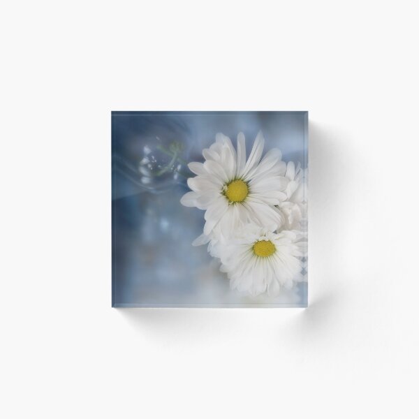 Item preview, Daisies and Blue Bottle designed and sold by TLWilsonPhoto.
