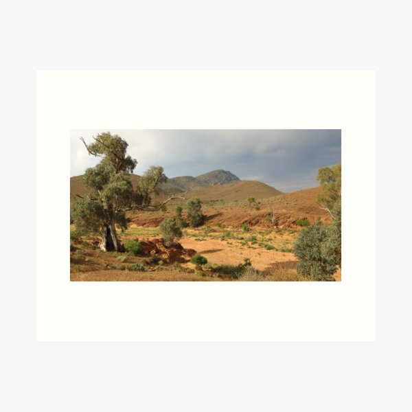 Item preview, Flinders Ranges - Mayo's Hut View designed and sold by outbackjack.