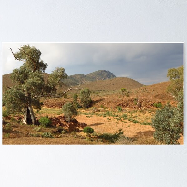 Item preview, Flinders Ranges - Mayo's Hut View designed and sold by outbackjack.
