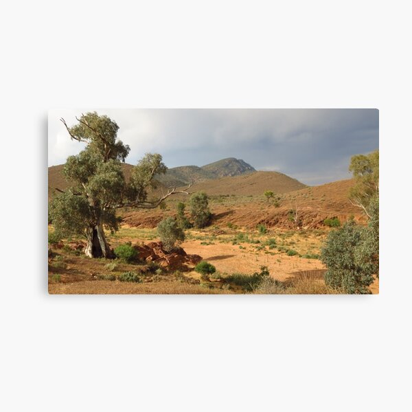 Item preview, Flinders Ranges - Mayo's Hut View designed and sold by outbackjack.