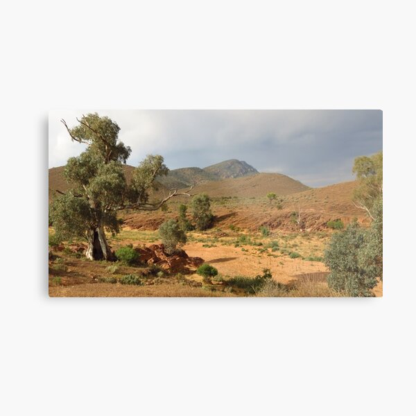 Item preview, Flinders Ranges - Mayo's Hut View designed and sold by outbackjack.