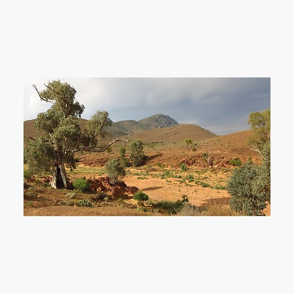 Item preview, Flinders Ranges - Mayo's Hut View designed and sold by outbackjack.